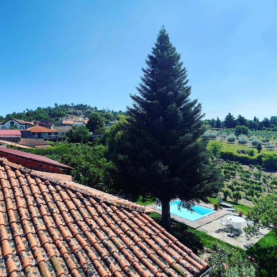 Casa Do Beco B&B Douro - Guest House Parambos Buitenkant foto
