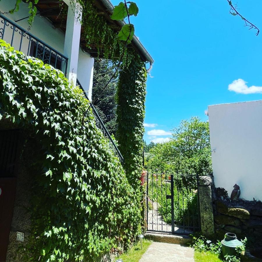 Casa Do Beco B&B Douro - Guest House Parambos Buitenkant foto